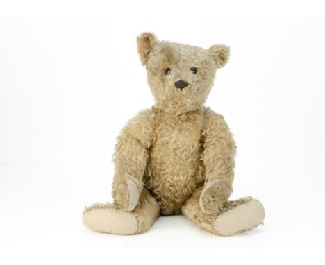 A rare and early Steiff centre-seam teddy bear circa 1908, with golden mohair, black boot button eyes, pronounced clipped muz