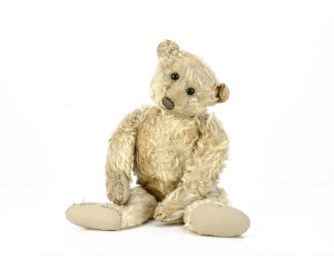 An early teddy bear 1905-1908,  probably Strunz, with blonde mohair, black boot button eyes, pronounced muzzle, remains of bl