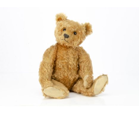 An early Steiff cinnamon mohair teddy bear circa 1909,  with black boot button eyes, pronounced clipped muzzle, black stitche