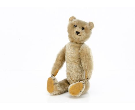 A 1920s German teddy bear, with light golden mohair, black boot button eyes, pronounced muzzle, black stitched nose, mouth an