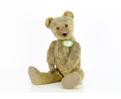 Wells an early Chad Valley teddy bear circa 1920,  with blonde mohair, clear and black oily glass eyes with brown painted bac
