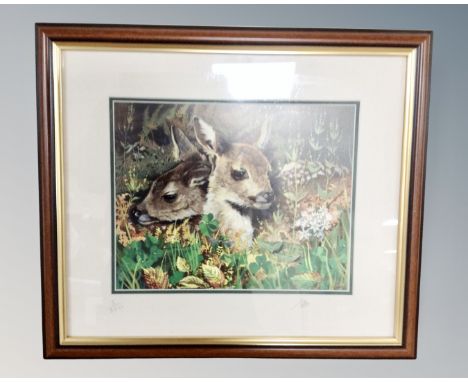 An S G M signed limited edition print 'Fawn' numbered 520, in gilt frame and mount by Sheila Mackay 