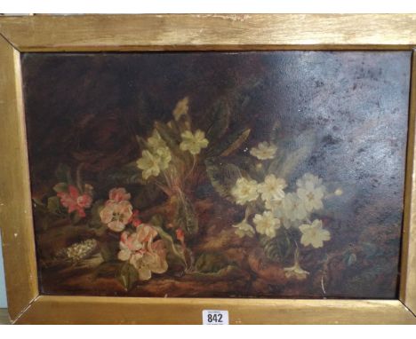 Mary Vernon Morgan - Still life of primroses, spring flowers and a birds nest. Signed Mary Vernon lower left.  12" x 18"