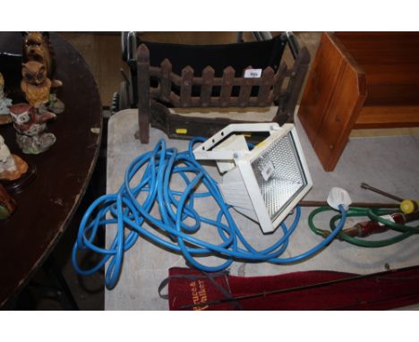 A halogen lamp