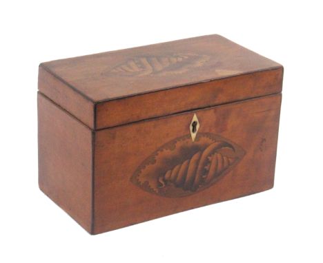 A late 18th Century satin wood tea caddy, of rectangular form the front and lid inset with an oval shell inlay, bone diamond 