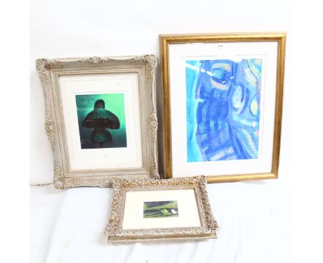 Clare Lawson, limited edition coloured print, topiary # 1 Levens Hall 25/250, framed, 59cm x 49cm, Chris McEwan, The Long Man