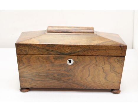 A REGENCY ROSEWOOD SARCOPHAGUS SHAPED TEA CADDY WITH HINGED LID ON BUN FEET 