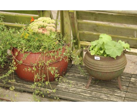 TWO VINTAGE AND DECORATIVE CAST IRON COOKING POTS CONTAINING PLANTS 