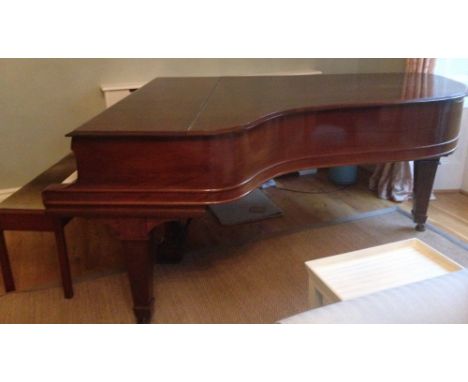 Steinway (c1907)A 6ft 11in Model B grand piano in a rosewood case on square tapered legs.