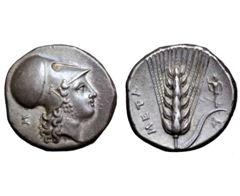 Lucania, Metapontion AR Stater. Circa 340-330 BC. Head of Athena Tharragoras right, wearing Corinthian helmet, Σ behind / Ear