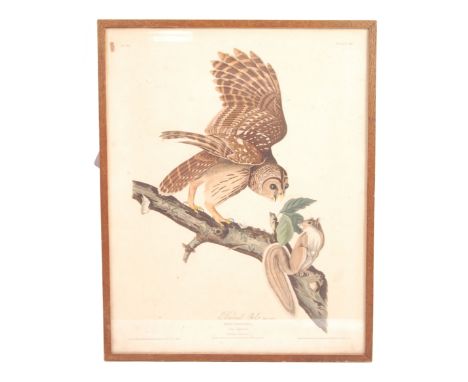 After John J. Audubon - ' Barred Owl ' - a 20th century reprint of the original 1828 engraving by R. Havell &amp; Son. A natu