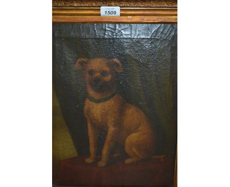 19th Century oil on canvas, portrait of a seated dog, 15ins x 11.5ins, gilt framed