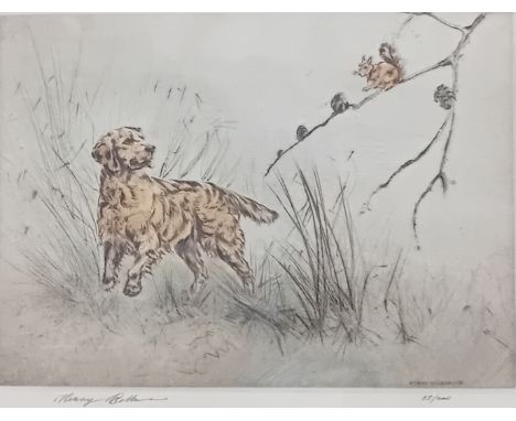 Henry WilkinsonLimited Edition coloured etching on paper '' Golden Retriever and squirrel'', signed. Copy 65/200[Frame 48x59c