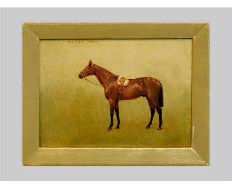 RACEHORSE PORTRAIT. An early 20th c. portrait of the racehorse, 'Melton Yank'. Oil on canvas. Indistinctly signed A...... Han