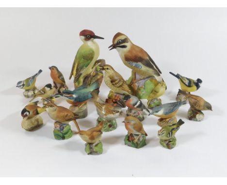 ROYAL WORCESTER. A set of 18 Royal Worcester, Eva Soper bird models in a matte finish, including a large woodpecker & a large