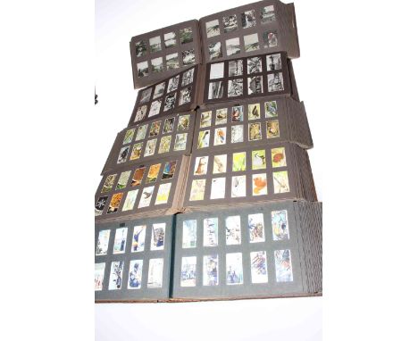 Five albums of cigarette and tea cards, including Cavanders, Senior Service, Will's, Player's, Brooke Bond, Churchman's, R J 