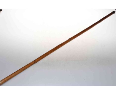 Poacher fishing rod / walking stick 