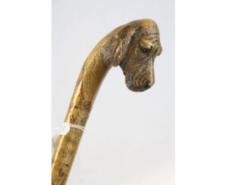 Vintage walking stick with carved handle in the form of a gun dog 