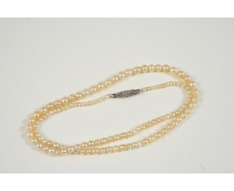 A SINGLE ROW GRADUATED NATURAL PEARL NECKLACE 40cm. long. Accompanied by report number 13449 from The Gem & Pearl Laboratory 