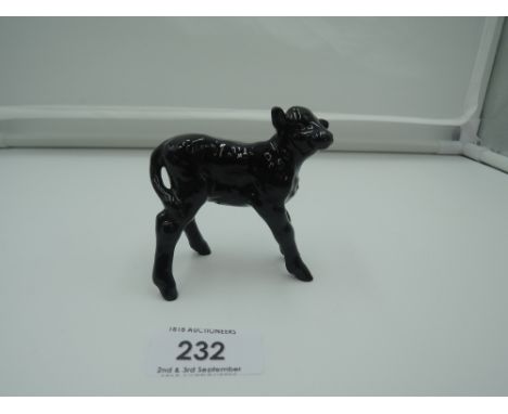 A Beswick study, Aberdeen Angus Calf 1406A