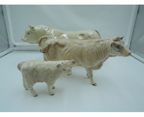 Three Beswick studies, Charolais Family, Bull 2463A, Cow 3075A &amp; Calf 1827B