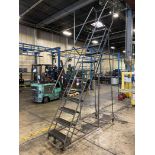 Gillis 12-Step Safety Ladder