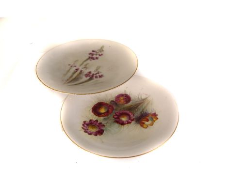 A Royal Worcester porcelain dessert service, decorated with Flowers of South Africa, painted by W.Hale (parcel)
