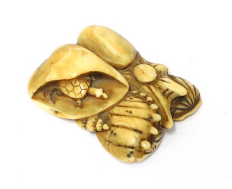 A Japanese Edo period marine ivory netsuke, in the form of shells, 5cm wide