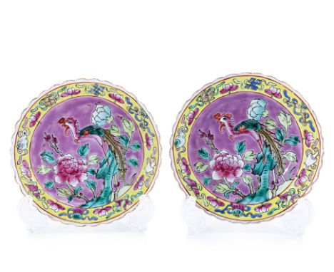 A PAIR OF PINK GROUND FAMILLE ROSE SAUCERS Decorated with phoenix and peony, yellow Buddhist emblem border 11cm diameter Prov