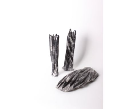 A quantity of polished fossils in a wooden box.  Two Orthoceras (fossil marble) towers and a display plaque; three fragments 