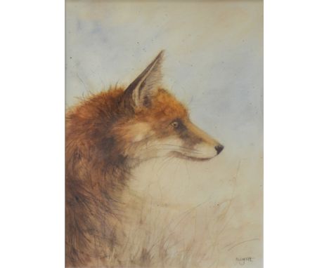 After Kate Wyatt, Redwald (fox), colour print, signed and limited edition 24/95, 39x26cm.