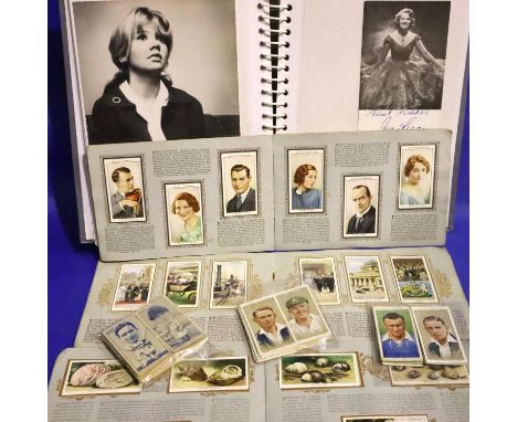 Collection of cigarette cards in eight albums and loose cards, Natural History, Transport and Sporting interest. P&amp;P Grou