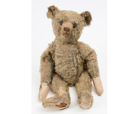 A large golden plush Steiff teddy bear: with rounded wide-apart ears, black button eyes, stitched snout, hump and felt pads, 