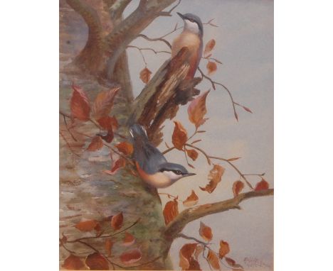 Philip Rickman (1891-1982) - Nuthatches, watercolour with body colour, signed and dated lower right 1966, 35 x 28cm  Conditio