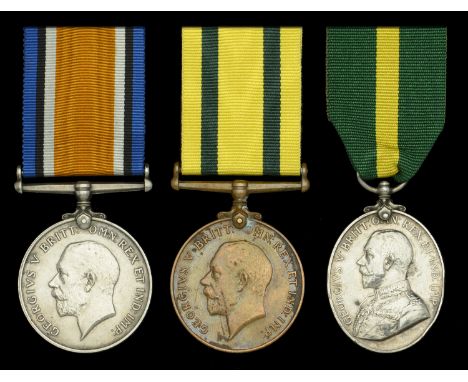 Three: Farrier Staff Sergeant W. R. Martin, Royal Field Artillery  British War Medal 1914-20 (110 Sjt. W. R. Martin. R.A.); T
