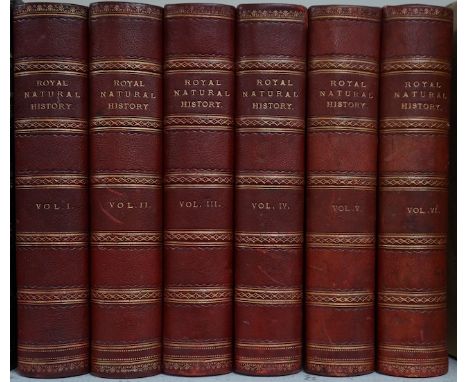 ° ° Zoology - Lydekker, R. (editor)The Royal Natural History. 6 vols., 4to, half red morocco gilt, 72 full page chromolithogr