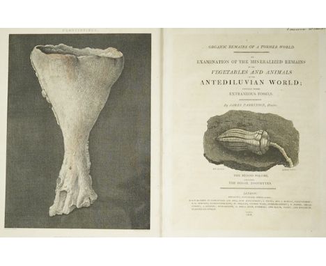 ° ° Parkinson, James - Organic Remains of a Former World.  An Examination of the Mineralised Remains of the Vegetables and An