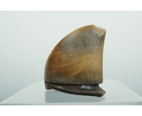 A Georgian white metal mounted hoof snuff box, 6 cm