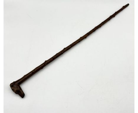 A walking stick with carved handle in the form of a dog's head