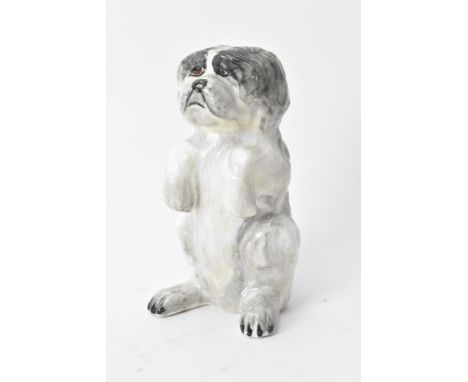 An early 20th century Derby Sampson Hancock model of a Shih tzu dog begging, circa 1935, painted marks to the base, 6.7cm hig