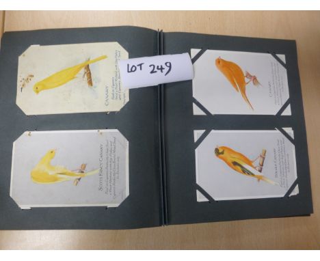 Album of birds, various, 150+, all vintage oilettes etc, fine cond.