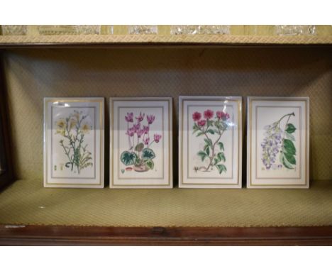 Royal Worcester porcelain - Set of four 'Botanical Studies' plaques, 26cm x 18cm  