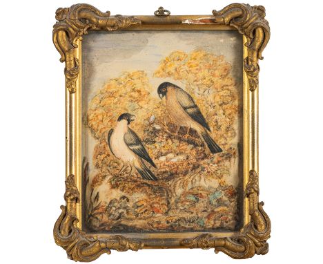 Lady Marianne Frances Bowyer Smyth (British, 19th Century) -Study of birds nesting -Watercolour over pencil -17 x 14cm -Attri