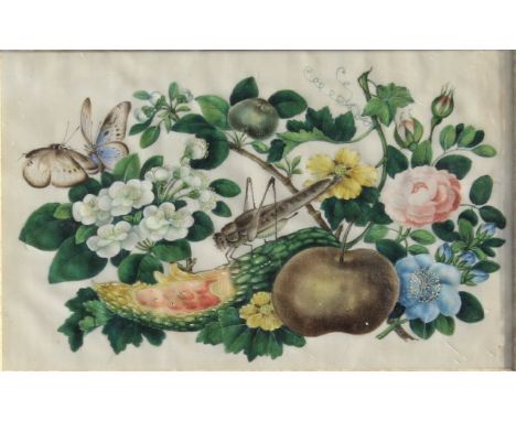 19TH CENTURY CHINESE SCHOOL "Cricket and butterflies amongst fruit and flowers", gouache on rice paper, together with another