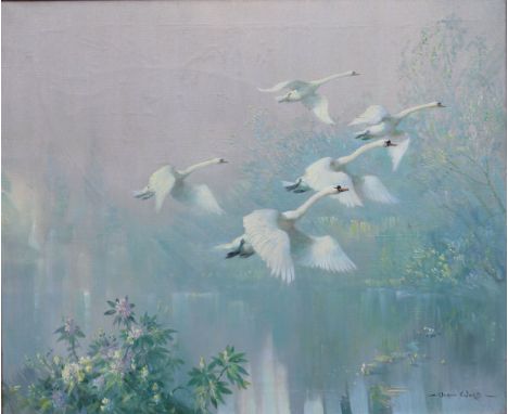 VERNON WARD (1905-1985) "Swans alighting from river", oil on canvas, signed bottom right, 63 cm x 76 cm (ARR) CONDITION REPOR