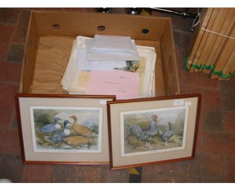 'The Feathered World' and 'The Poultry World' prints, together with other poultry ephemera  CONDITION REPORT We have attached
