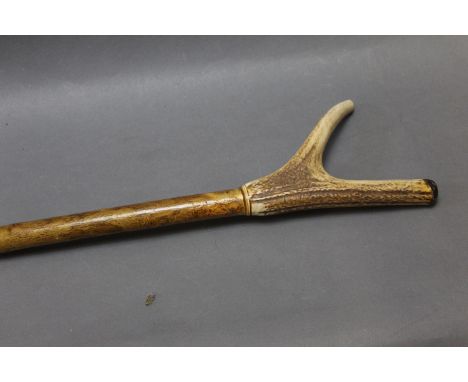 Walking stick with ash shaft with red stag antler handle.  Length 42 cm. 