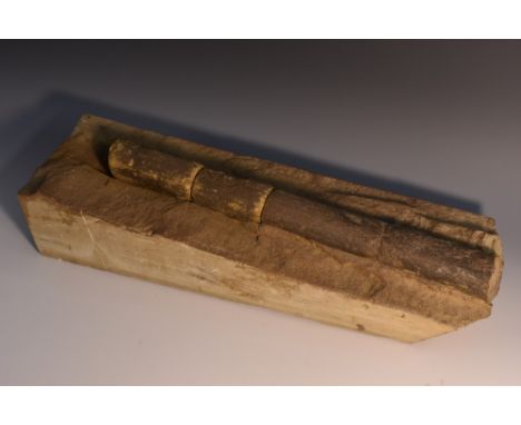 Natural History - a three-section Calamites cisti fossil, 39cm long, limestone matrix with relief impression from petrificati