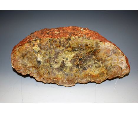 Natural History - a fossil specimen, dinosaur coprolite, polished to one face, Morrison Formation, Soldier Summit, Utah, Jura