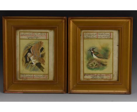 Islamic School (19th century) A pair of manuscript pages, Ornithological Studies watercolour, gouache and calligraphy, 20.5cm